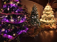 Rozžiarený stromček je najkrajším symbolom Vianoc