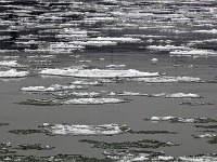 Ľadové kryhy na Dunaji
