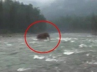 Je to mamut? Je to mamut?