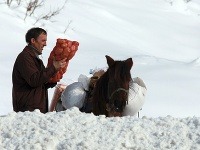 Albáncovi pri zásobovaní rodiny pomáha mulica 