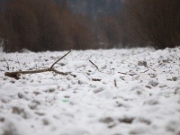 Ľadochody hromadiace sa na rieke Kysuci