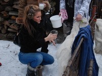Nikola Weiterová si v relácii Bez servítky vyskúšala dojenie kozy.
