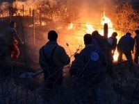 Požiar tokajských vinohradov nad obcou Čerhov v okrese Trebišov