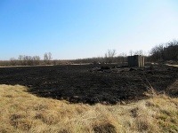 Veľký požiar neďaleko Bratislavy spustošil vinice a priľahlé polia. Veľký požiar neďaleko Bratislavy spustošil vinice a priľahlé polia.