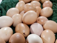 Farmári museli vyzdobiť všetky tieto vajíčka.
