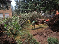 Letná búrka spôsobila rôzne škody v podobe vyvrátených stromov, strhnutých striech, či polámaných konárov a poškodených automobilov.