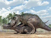 Takto nejak podľa vedcov sexovali dinosauri