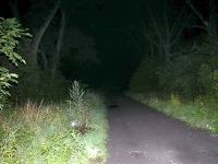 Na tejto lesnej ceste našli zavraždenú ženu