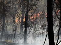 Juhozápad Francúzska ohrozujú prírodné požiare a vlna horúčav