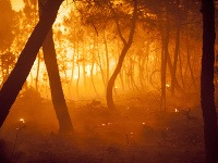 S požiarmi bojuje celý juh Európy
