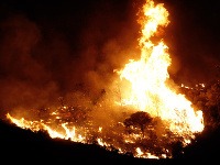 Lesný požiar v Španielsku vyhnal z domova 2000 dedinčanov