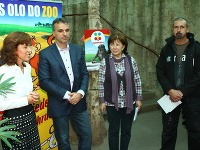 Hokejista Zdeno Cíger si v bratislavskej ZOO adoptoval malého šimpanza Shani – Kimani 