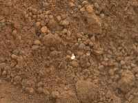 Curiosity na Marse odobralo