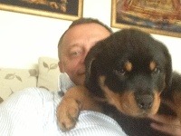 Vilo Rozboril pred vyše týždňom kúpil šteniatko, ktoré dostalo meno Uxo. 