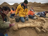 Vo Francúzsku objavili takmer kompletnú kostru mamuta