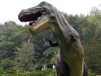 Tarbosaurus Tarbosaurus