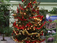 Vianočné stromčeky v budovách slovenských ministerstiev