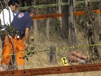 Mexická prokuratúra tvrdí, že za útokmi stojí veľká svorka psov Mexická prokuratúra tvrdí, že za útokmi stojí veľká svorka psov
