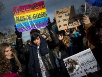 Parížske ulice zaplnili desaťtisíce stúpencov homosexuálnych manželstiev