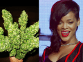 Rihanna sa pochválila valentínskym darčekom: Dostala kyticu konope!