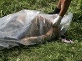 Nečakaný nález v kamióne pred predajňou: Osem mŕtvych tiel a desiatky živých ľudí