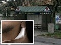 Martin (17) vystúpil z autobusu, zažil šok: Robert (25) zaútočil nožom, krôčik od smrti!