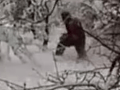 Mýtický yeti pobúril celú krajinu: Vôbec nevyzerá tak, ako na VIDEU!