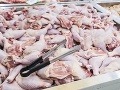 Vyberajte si kuracinu v Vyberajte si kuracinu v