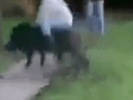 Spanilý jazdec na VIDEU skrotil divého tvora: Zažil orgazmické rodeo a akčnú rýchlosť!