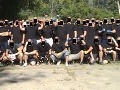 Toto tu ešte nebolo: Masový protest v Bratislave prilákal chuligánov zo zahraničia!