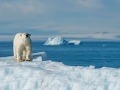 Apokalyptická predpoveď klimatológov na september 2016: Nové dôkazy, všetko je úplne inak!