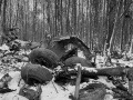 Najväčšie letecké nešťastie v Československu na FOTO: Osudná chyba pilotov