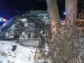 FOTO Dopravná nehoda v Považskom Podhradí: Zranení dvaja ľudia po náraze do stromu
