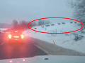 Vodič išiel cez Rakovčík a zrazu sa to stalo: VIDEO Obrovské stádo preletelo cez cestu