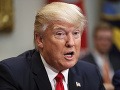 Vodca militantov sa vysmieva Trumpovi: Sme optimisti, keď sa v Bielom dome usadí idiot