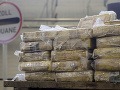 Megarazia v Česku: Polícia rozbila medzinárodný drogový gang