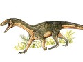 Vedci identifikovali jedného z najstarších príbuzných dinosaurov: A zostali prekvapení...