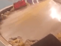 Šok po pristátí v Karibiku: Z batožiny cestujúceho povyliezala pliaga na VIDEU