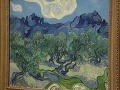 Slávny obraz Vincenta van Gogha skúmali pod mikroskopom: Objavili v ňom bizarnosť na FOTO