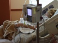 Zmeny v liekovej politike vyjdú pacientov draho, tvrdí Asociácia na ochranu práv pacientov