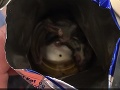 VIDEO Mladík otvoril plechovku s energetickým nápojom: Z toho, čo v ňom našiel, mu prišlo zle