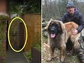 Muž si kúpil dom, v ktorom mal bývať duch: Smiech ho prešiel, keď našiel strašidelné FOTO