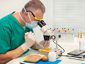 Hygienici upozorňujú: Pozor na potraviny, ktoré môžu spôsobiť salmonelózu