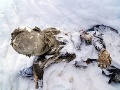 Sopka vydala svoje desivé Sopka vydala svoje desivé