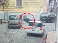 VIDEO Panika v Česku: Diviak sa vybral na nákupy do mesta, demolácia obchodu a zranená žena