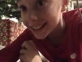 VIDEO Chlapec pod stromček nastražil kameru: V noci zachytila ľstivé stvorenie!