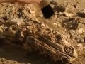 Vedci objavili zvyšky prehistorického Vedci objavili zvyšky prehistorického