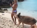 VIDEO Modelka (32) zažila na pláži nečakaný útok: Divé prasa si pochutilo na jej zadku