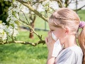 Alergici si stále nevydýchnu: Aktuálne ich trápi najmä palina a ambrózia