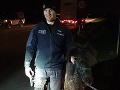 Znovu ako v ZOO! Po Trnave sa prechádzal poník: FOTO Policajti na nohách, kilometer prenasledovania